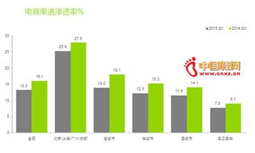  中国资本市场洞察调研 2013年第二季度中国快消品市场洞察