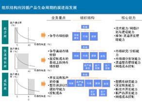  技术跟随战略 跟随是成本最高的战略