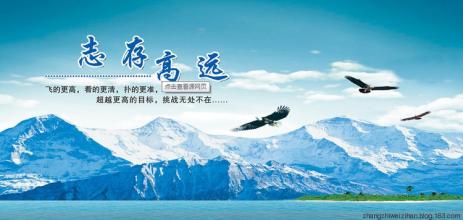  龙津药业潜力巨大 运营商进军在线旅游潜力巨大