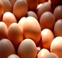  鸡蛋强势合约 哪几个 怎样才能成为鸡蛋产品市场的强势品牌
