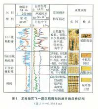 测井地质学 测井资料的获取方法与科学地质解释探究