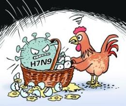  h7n9病毒 H7N9“毒杀”家禽业