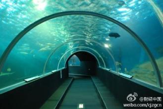  最长海底隧道 世界最长海底隧道走下图纸？