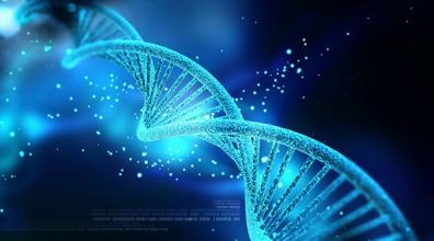  胚胎植入前基因诊断 给企业植入“大数据”基因