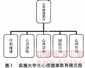  青少年心理问题对策 西部民族地区小学心理健康教育现状调查及对策研究