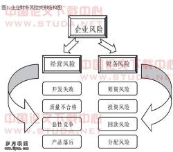  光明的财务风险及防范 试论企业财务风险防范与控制的要点