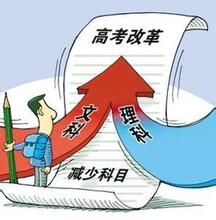  职业价值取向 民办幼儿园文化建设的公平价值取向