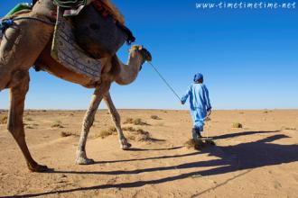  安全感 在「骆驼」竞争中　建设安全感
