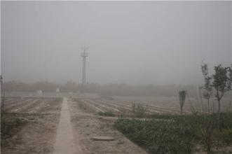  阿拉尔垦区1971—2010年沙尘天气分析