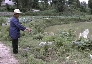  原始拓荒客 寻找新增长点　富力加速拓荒