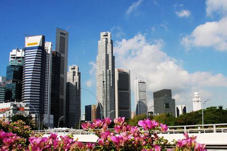  向新加坡学习，政府担当楼市主角