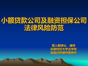  小额贷款公司风险控制 小额贷款公司的风险防范