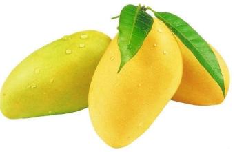 “芒果”：过气的水果