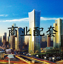 雷诺卡缤最大质量问题 质量门已是中国房企的最大软肋