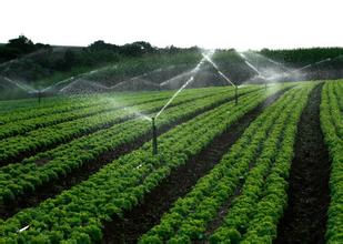  农业节水灌溉水带 浅谈农业节水灌溉中的问题及对策