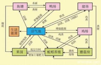  深度资本 有机农业　资本不能急——深度解析有机农业生态模式