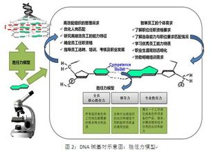  ci 持续构建 构建企业持续发展的DNA　——读《组织能力的突破》