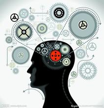 视知觉心理学 《心理学的50大奥秘》　第1章　大脑能量　有关大脑和知觉的神话