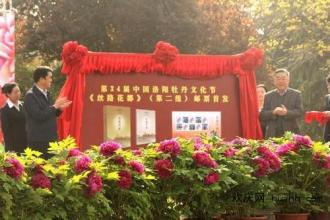  寝室文化节策划书 关于江苏泰州 “花木文化节”的整体策划