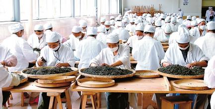  如何学习，中国茶业才能更快卖茶？