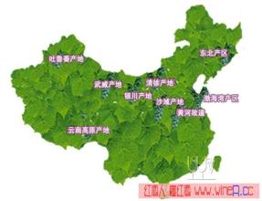 中国的葡萄酒产区 中国葡萄酒产区化时代的到来