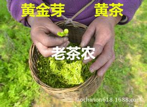  三千茶农 茶农改行是中国放任型农业的恶果