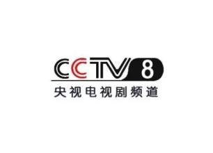  北京车展媒体日门票 媒体  央视招标：预见2012