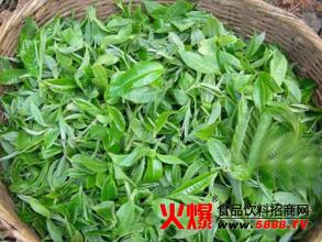  贵州茶叶公司 贵州茶叶急需“茶翅高飞”