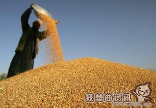  世界粮食危机现状 2011，粮食危机再临？