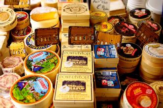  奶酪市场 食品市场――医药企业的新奶酪