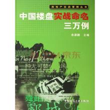  中国营销实战小说：《挑战》（62）