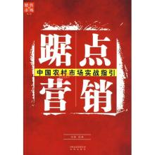  中国营销实战小说：《挑战》（55）