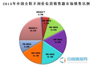 海兴电力上市定位分析 中国某电力集团总体发展定位分析