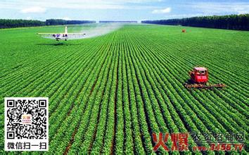  中国农业现代化之路 中国农业现代化的六大动力