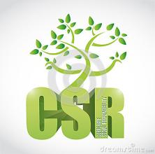  中国企业csr案例分析 CSR十大特色企业