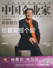  中国企业家的十宗罪 中国企业家的更好榜样