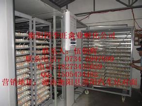  北京孵化器公司注册 孵化公司的专业户