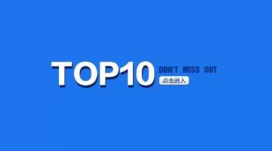  top10 公司/ TOP10（1）
