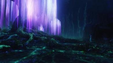  阿凡达 迅雷天堂 天堂雨林 现实版的《阿凡达》