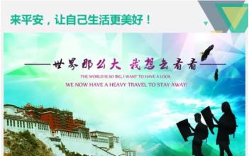 大学生创业梦想论文 中国平安与435个创业梦想