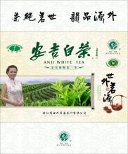  房企如何打造第一品牌 世外茗源打造中国生态白茶第一品牌