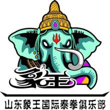  上海象王洗衣有限公司 象王洗衣招募加盟店 毛利70%