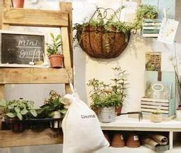 diy植物宠物店 投资一家DIY植物宠物店