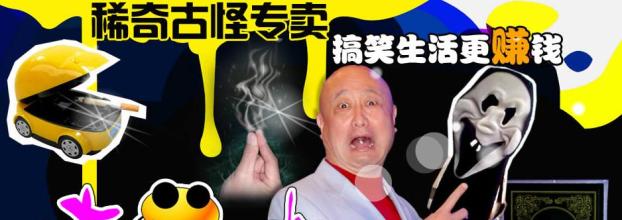  园区网站盈利 魔术网站盈利，月入万元