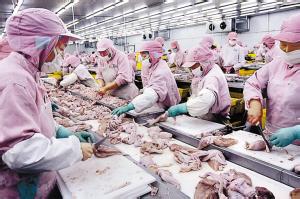 麦当劳鸡肉供应链 访圣农——鸡肉是这样链成的(二)