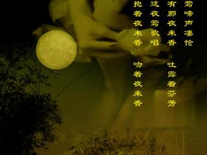  我爱夜来香国语 创业心得：没有三更起 哪闻夜来香