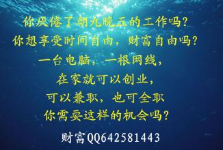  后悔辞去在编教师工作 我辞去丰田的工作，开起网店