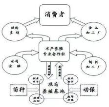  宁波天邦的产业链逻辑：从水产饲料到养殖加工