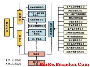  金融危机预防与治理 金融危机下淡马锡畅谈公司治理