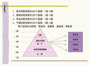  华为：职业化发展管理提速执行力